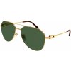 Cartier CT0364S 002