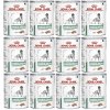 Royal Canin VHN Diabetic Special 12 x 410 g