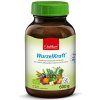 P. Jentschura WurzelKraft omnimolekulárna BIO potravina 600 g
