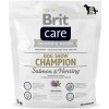 BRIT CARE DOG SHOW CHAMPION SALMON & HERRING 1kg