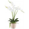 Gasper Gasper Umelá orchidea 55 cm, biela