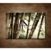 Obraz - Bambusový les 90x60cm
