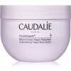 Caudalie Vinotherapist Replenishing Vegan Body Butter intenzívne hydratačné telové maslo pre suchú až veľmi suchú pokožku 250 ml