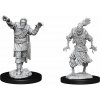 Dungeons & Dragons Nolzur's Marvelous Miniatures - Scarecrow & Stone Cursed 2-Pack, 4 cm