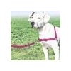 PetSafe Easy Walk Postroj proti ťahaniu malinová M
