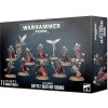 Warhammer 40.000: Adepta Sororitas Battle Sisters Squad
