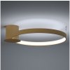 Thoro Thoro TH.223 - LED Stropné svietidlo RIO LED/30W/230V CRI 95 4000K pr. 55 cm zlat SLX0946 + záruka 3 roky zadarmo