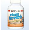 Carne Labs Mega Tribulus + zn + sn + chr 120 tabliet