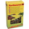 Lucky Reptile Earthworms 10 g FP-67832