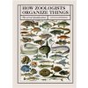 How Zoologists Organize Things
