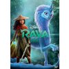 Magic Box Raya a drak D01363 DVD