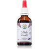 Salvia Paradise Perila křovitá AF tinktúra pre normálnu funkciu dýchacieho systému 50 ml