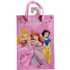 Disney Darčeková taška Princess 11,5x16,5cm