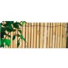 NOHEL GARDEN Rákosová rohož zo štiepaného rákosia 1 x 5 m