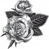 Dve šedé ruže - dočasné tetovanie