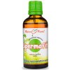 Bylinné kapky Spermafit - tinktúra, 50 ml