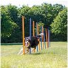 Trixie Agility slalom,tyče 12ks 3,3/115cm