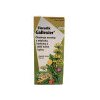 SALUS Floradix Gallexier 250ml
