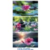 Colours of Nature nástěnný 2026