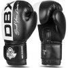 BUSHIDO Boxerské rukavice DBX B-2v20 - 10oz