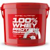 Scitec 100% Whey Protein Professional 5000 g