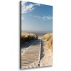 Vertikálny foto obraz na plátne Chodník na pláž 50x100 cm