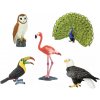 Safari Ltd. Safari Ltd. Vtáky (5 ks)