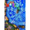 Our World 2nd Edition 5 Lesson Planner +CD/DVD - Kate Cory-Wright; Kaj Schwermer