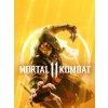 Mortal Kombat 11 PC