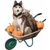 ZUTY Maľovanie podľa čísel DVAJA HUSKY NA KOLIESKACH Rámovanie vypnuté plátno na rám Rozmer 80 x 100 cm