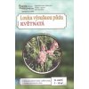Kvetinova lúka pre suché stanovištia, Planta Naturalis, osivo lúčnych kvetov