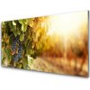 Obraz plexi Hrozno listy kuchyňa 100x50 cm
