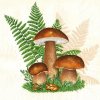 Servítky na dekupáž Boletus with Leaves of Fern - 1 ks (servítky na dekupáž)