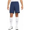 Trenky Nike Dri-Fit Academy 25 M FZ9776 410