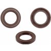 Corteco Oil seals Corteco 100666105 kľuková hriadeľ strana zotrvačníka