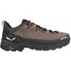 Salewa Alp Trainer 2 GTX hnedé