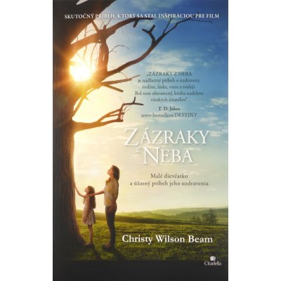 Zázraky z neba - Christy Wilson Beam