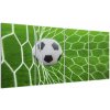 Futbalová lopta v sieti - obraz (Obraz 160x80cm)
