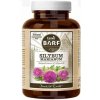 Canvit BARF Silybum Marianum 160g