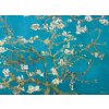 Puzzle Eurographics Puzzle Kvitnúce mandľa 1000 dielikov (628136601535)
