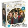 DODO Harry Potter Harry Ron a Hermiona 250 dielov