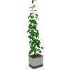 Samozavlažovací kvetináč Gusta Garden CURT CUCUMBER svetlosivý GG-140C10