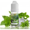 (ArtVap) Příchuť 10ml Max Menthol