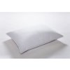 Kamýk Daunen Páperový vankúš Cannstatter Pillow Premium 50x70cm 70x90 cm 90% páperie/10% perie 70x90 cm