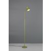 TRIO Reality R45831115 PONGO stojacia lampa v1450mm SMD LED 4,5W/500lm 3000K zelená
