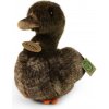 Rappa Plyšová kačica 23 cm ECO-FRIENDLY