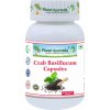 Crab Basillucum- podpora imunity a dýchacích ciest- 500 mg, 60 kapsúl