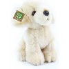 Rappa Plyšový pes labrador 18 cm ECO-FRIENDLY