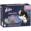 Nestlé FELIX Fantastic cat Multipack junior hovädzie, kura, sardinky, losos v želé kapsička 12x85 g