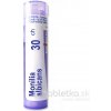 Monilia Albicans gra.1 x 4 g 30CH